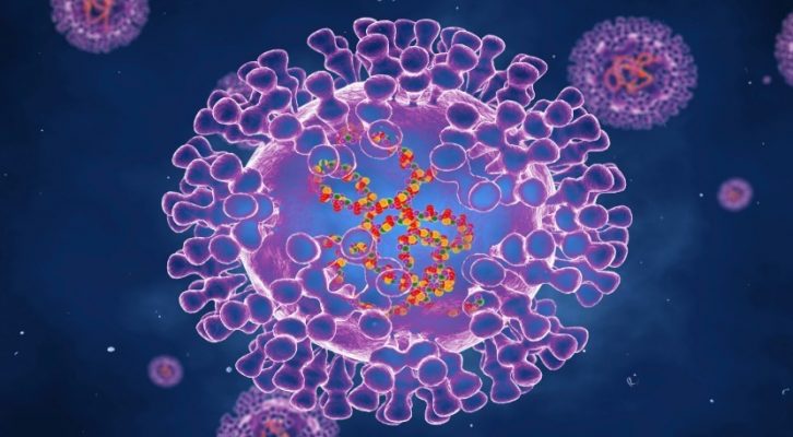 Espanha recebe primeiras doses de vacinas contra o vírus monkeypox. Portugal segue-se em breve